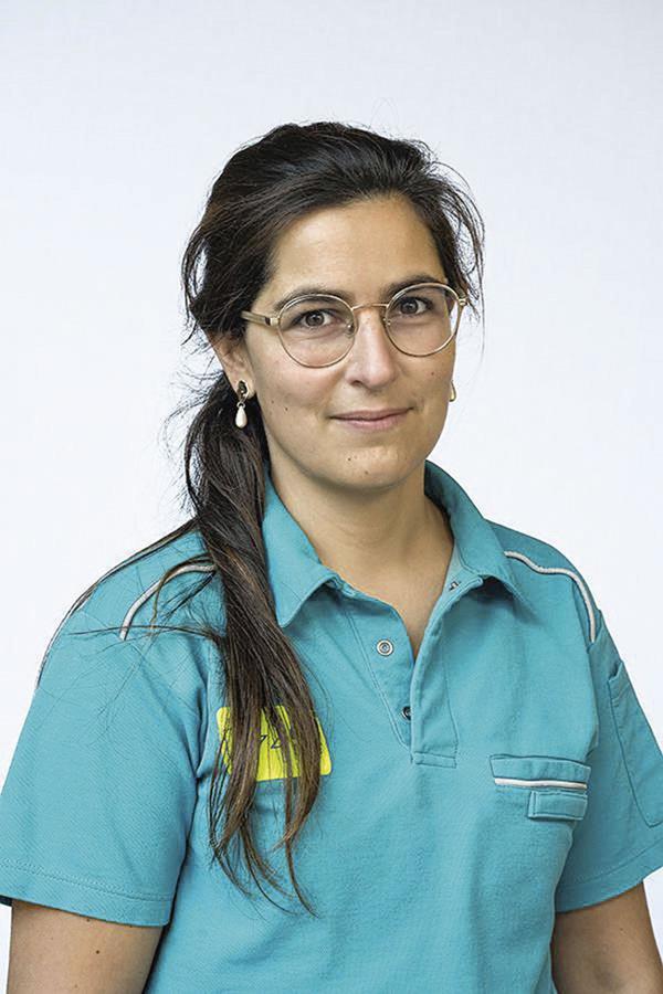 'Structureel is er weinig geleerd' 