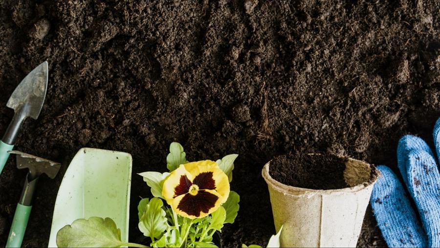 Le terreau sans tourbe devient la norme